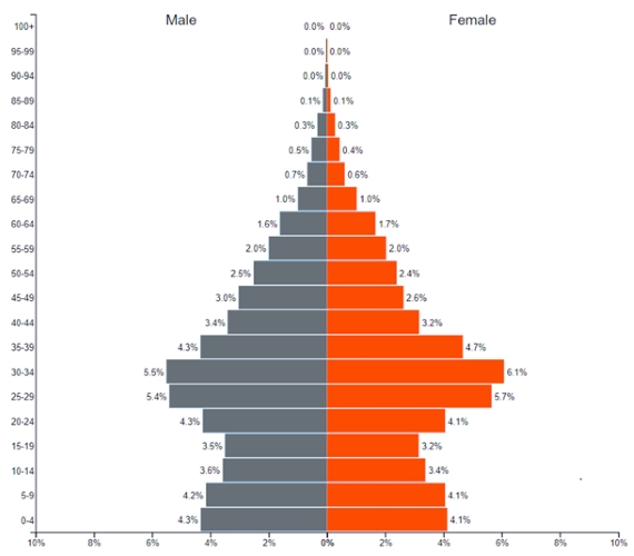 Iran Population Pyramid